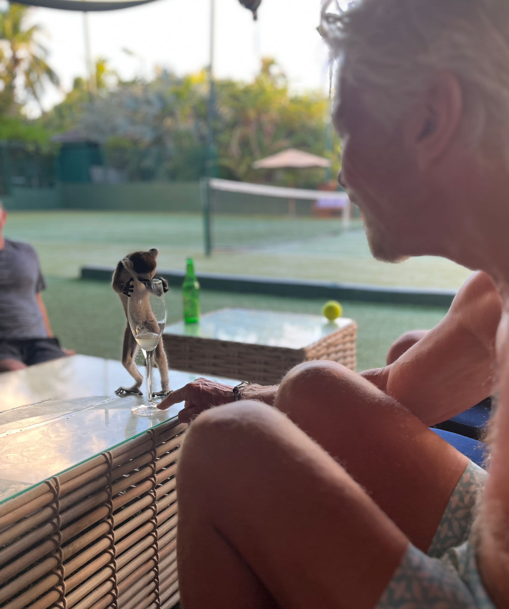 Richard Branson with Pluto the lemur