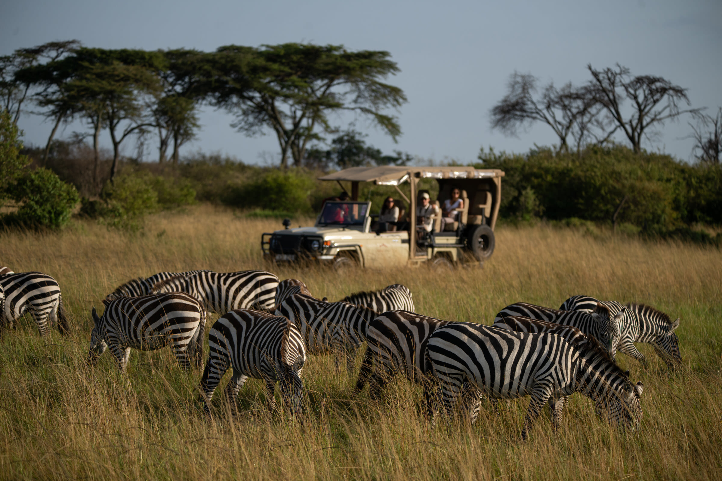 Mahali Mzuri - Game Drive