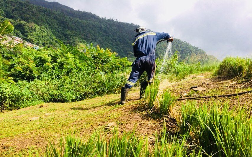 A man using a hosepipe to water fields