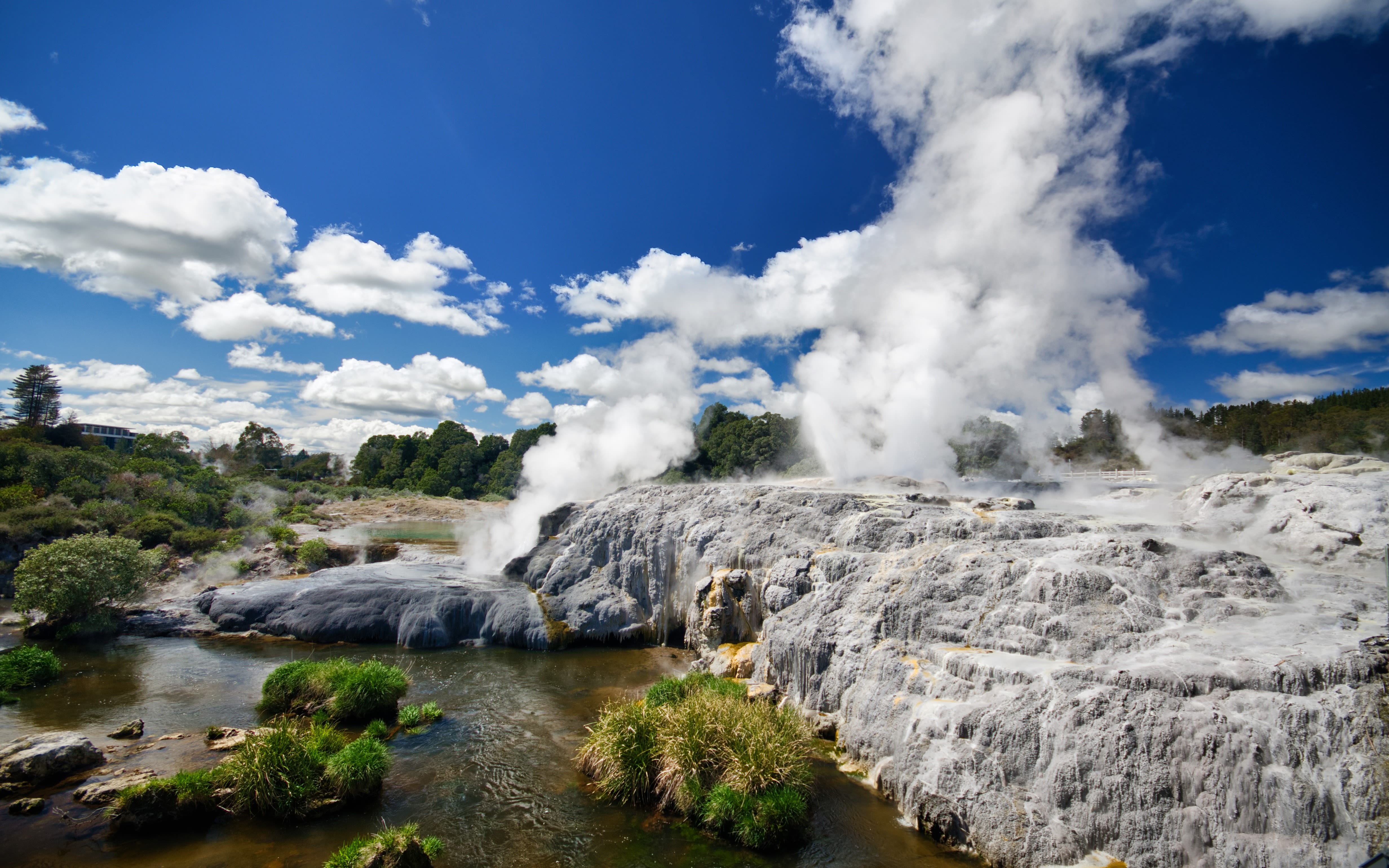 An image of a geyser in Rotorua, New Zealand 