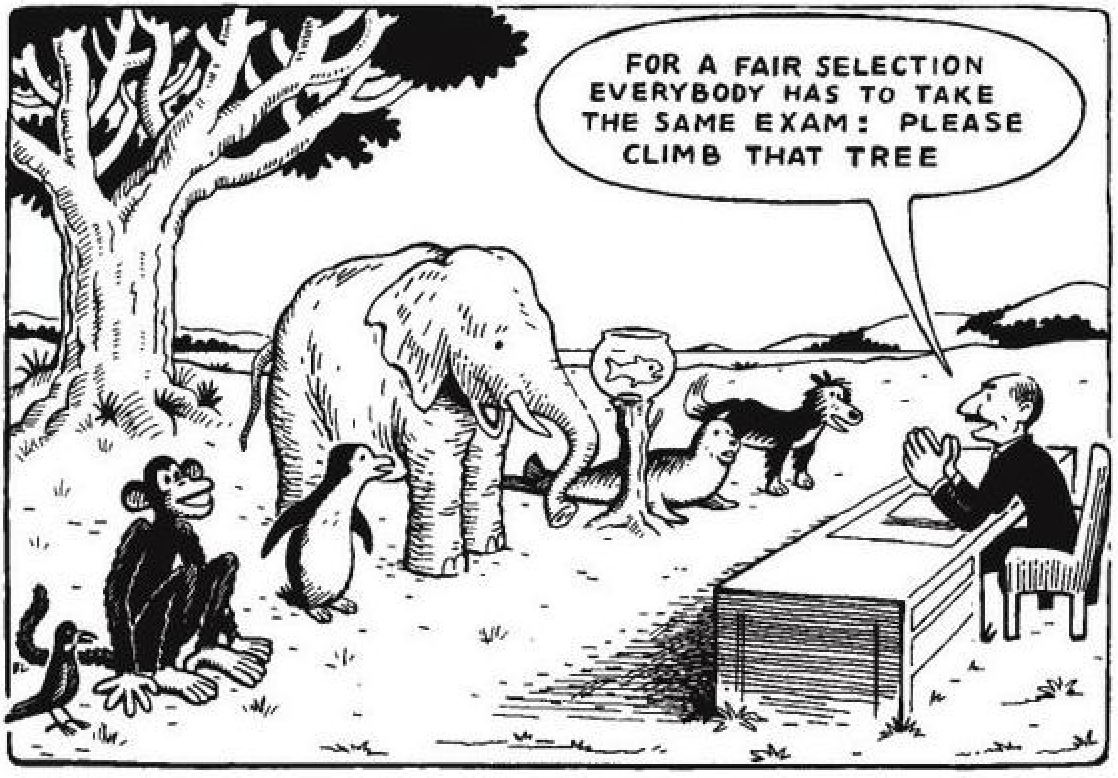 exam illustration with an elephant, monkey, fish and dog