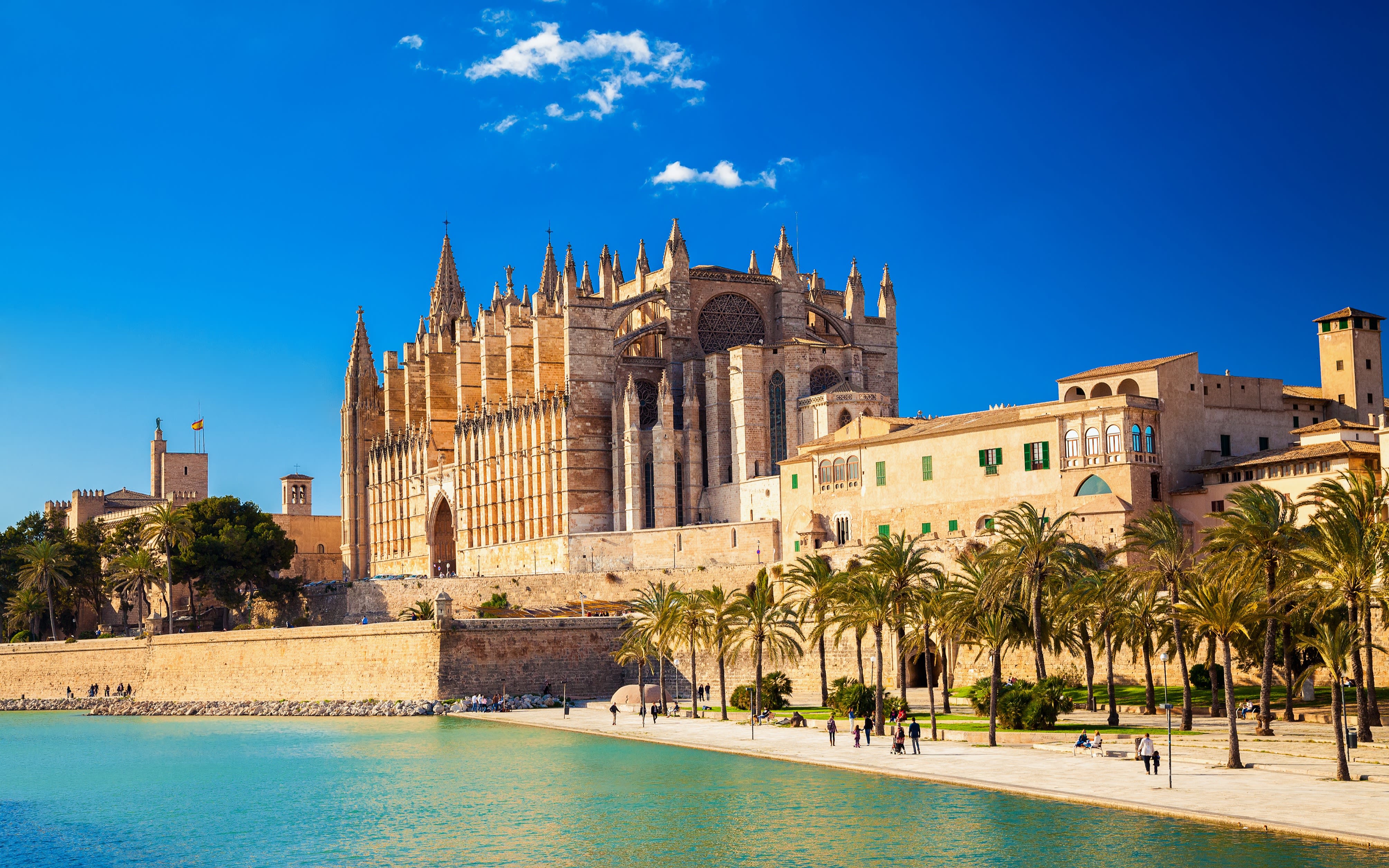 An image of the cathedral in Palma, Mallorca