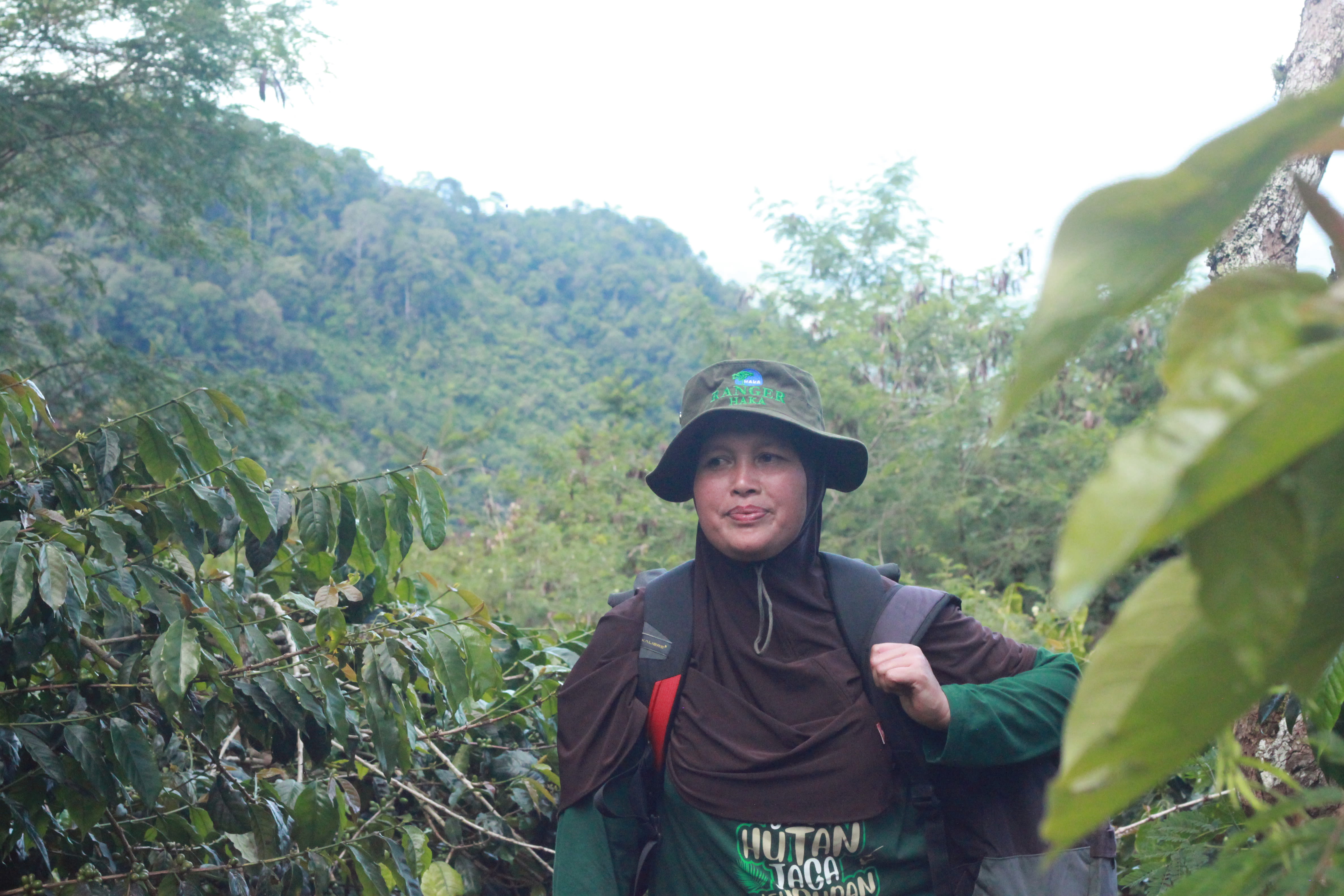 Sumini, Head of Damaran Baru, Village Forest Management