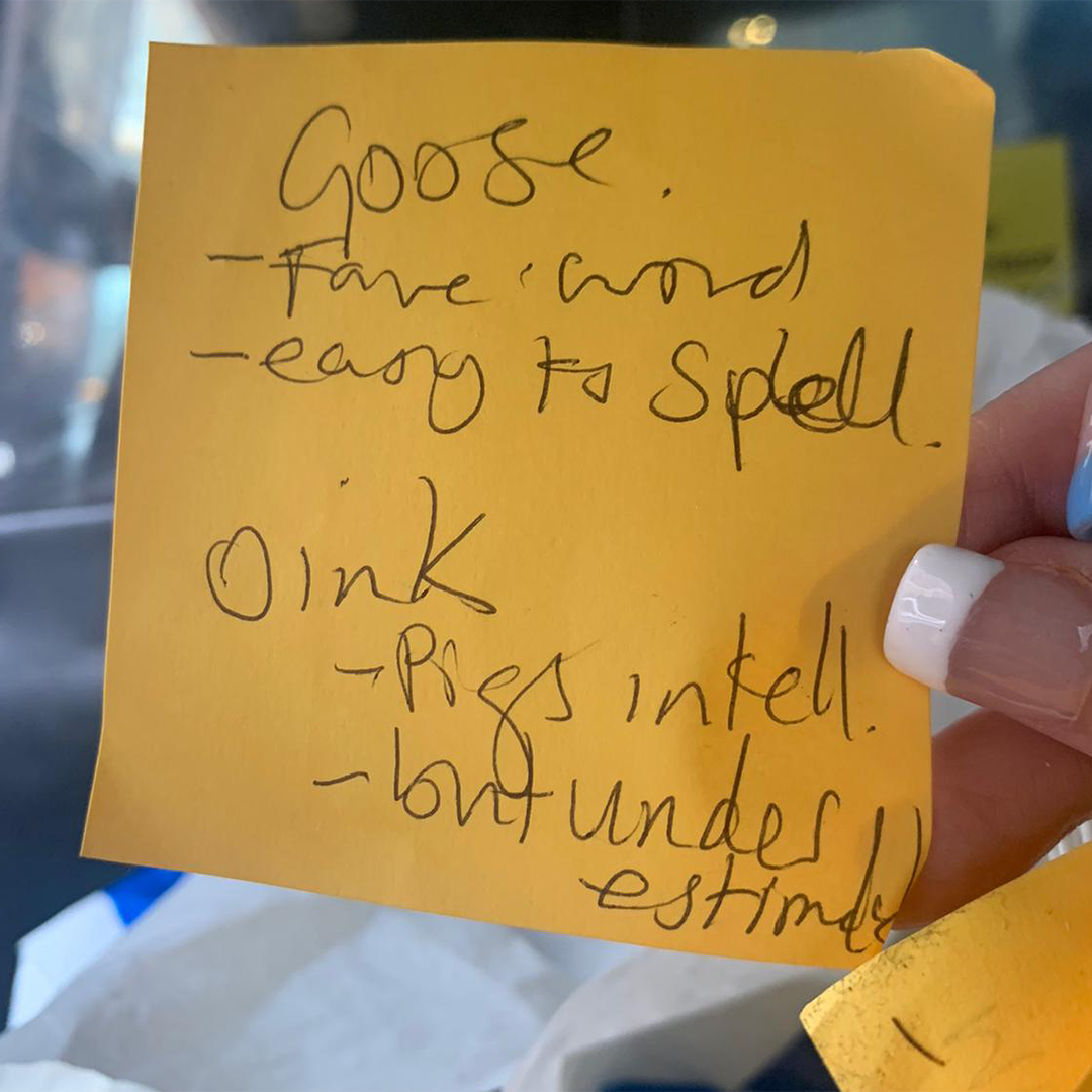A post-it note which reads "Goose - fave word, easy to spell. Oink - pigs intelligent but underestimated"