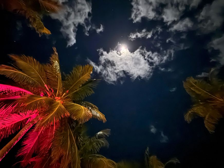 Image from Sam Branson