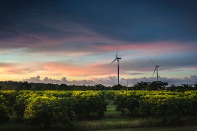 Getty Images | Jose Zayas