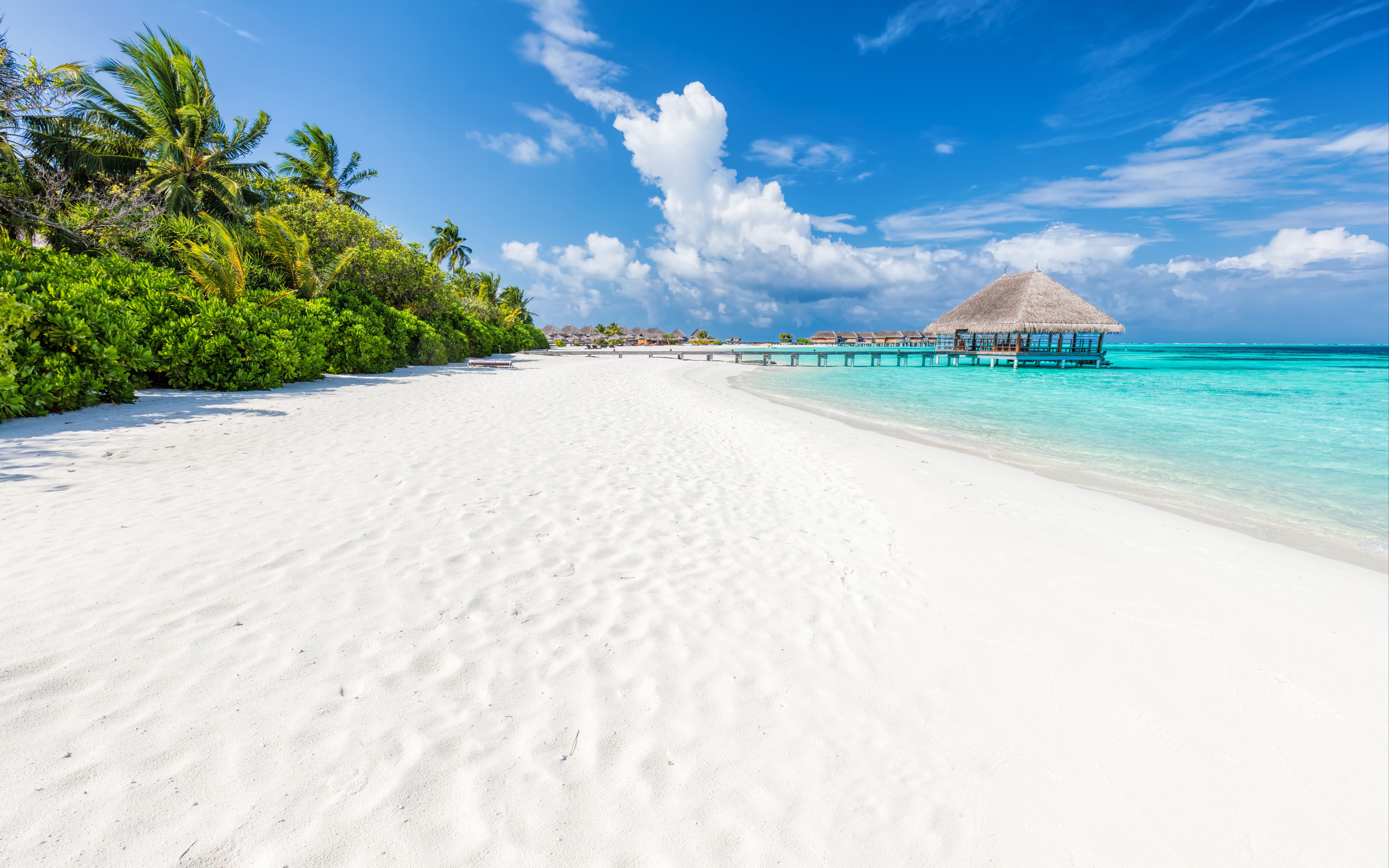 An image of a white sand beach in the Maldives
