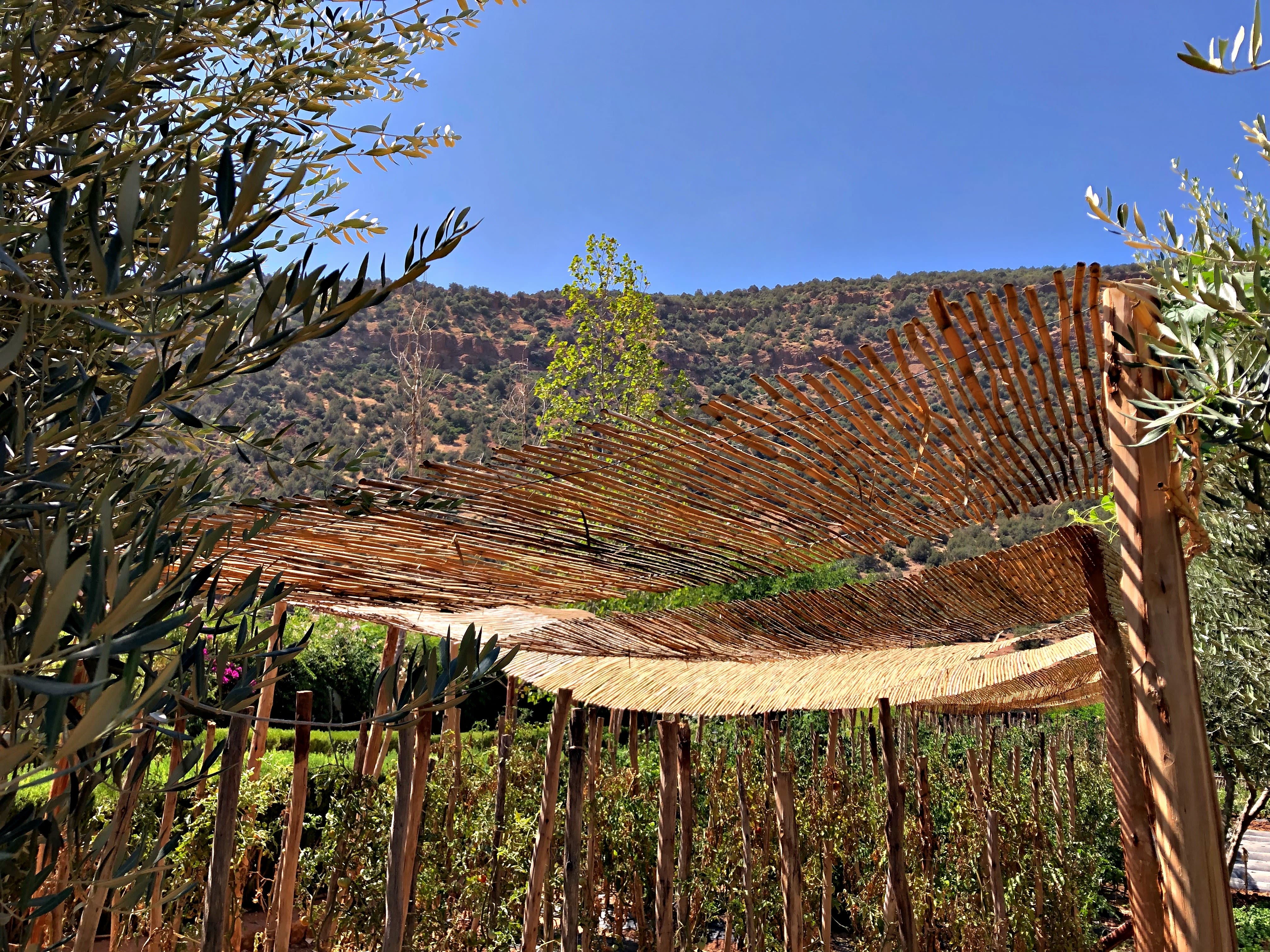 The vegetabkle garden at Kasbah Tamadot in Morocco