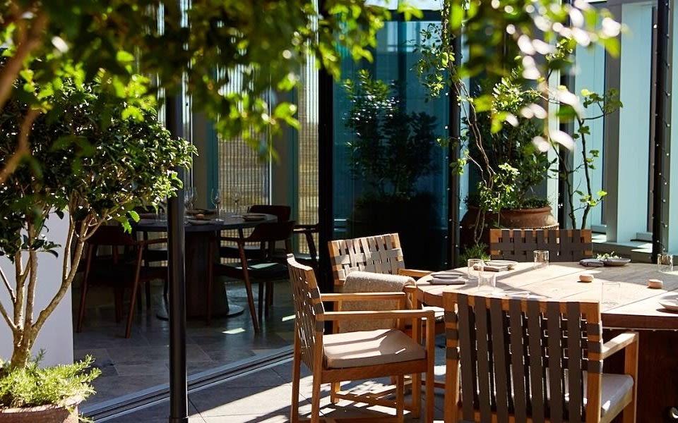 Image of tables and plants on the outdoor terrace of Allegra. 