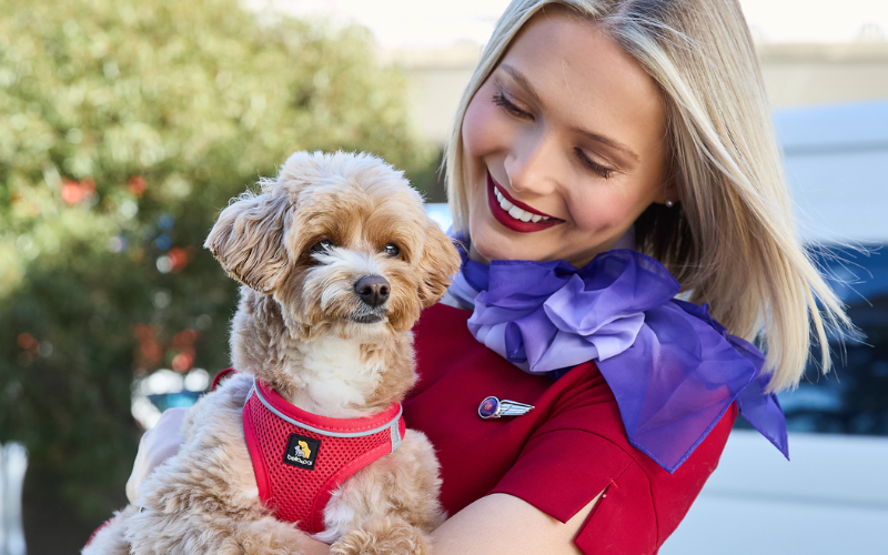 Virgin Australia Pets in Cabin