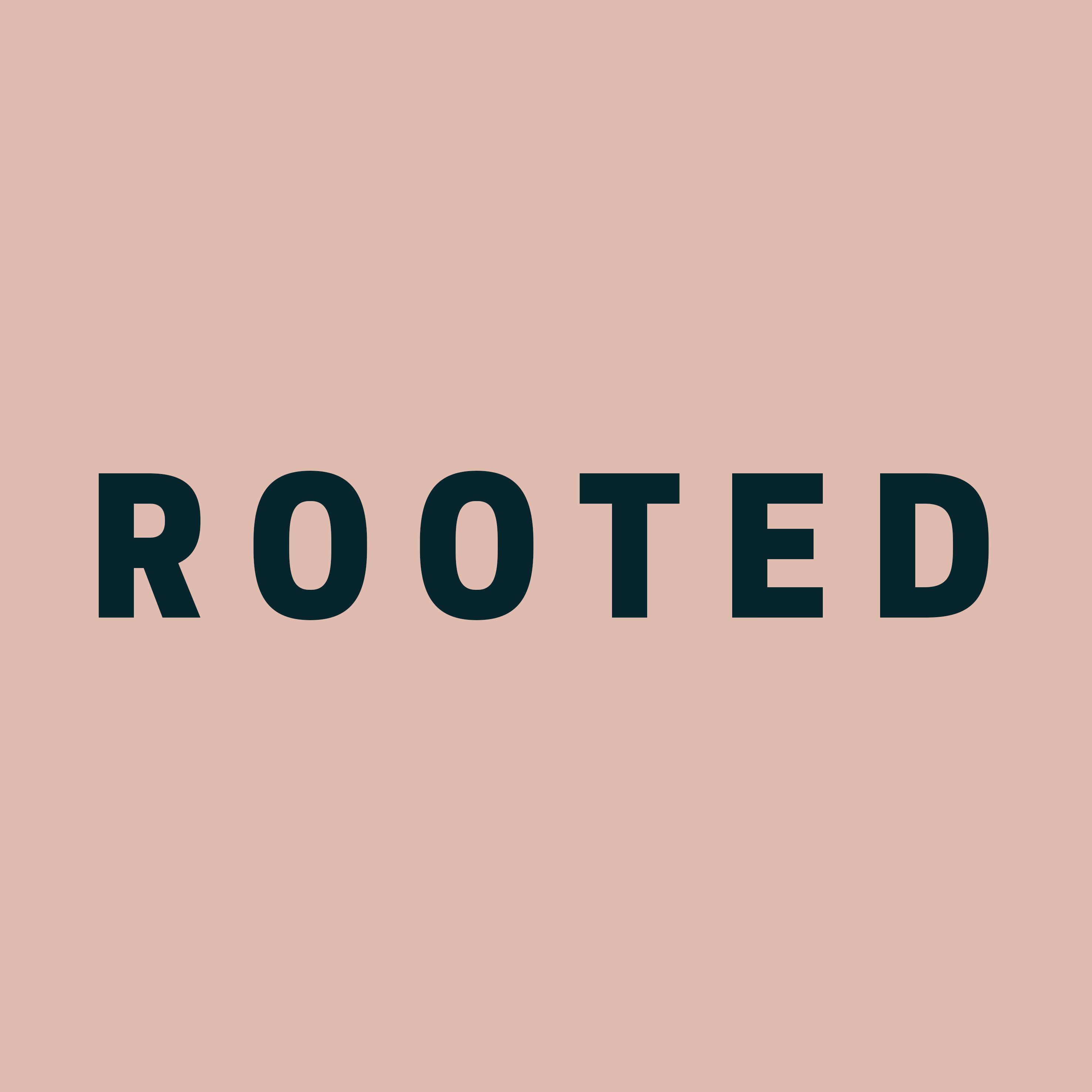 Rooted Interiors