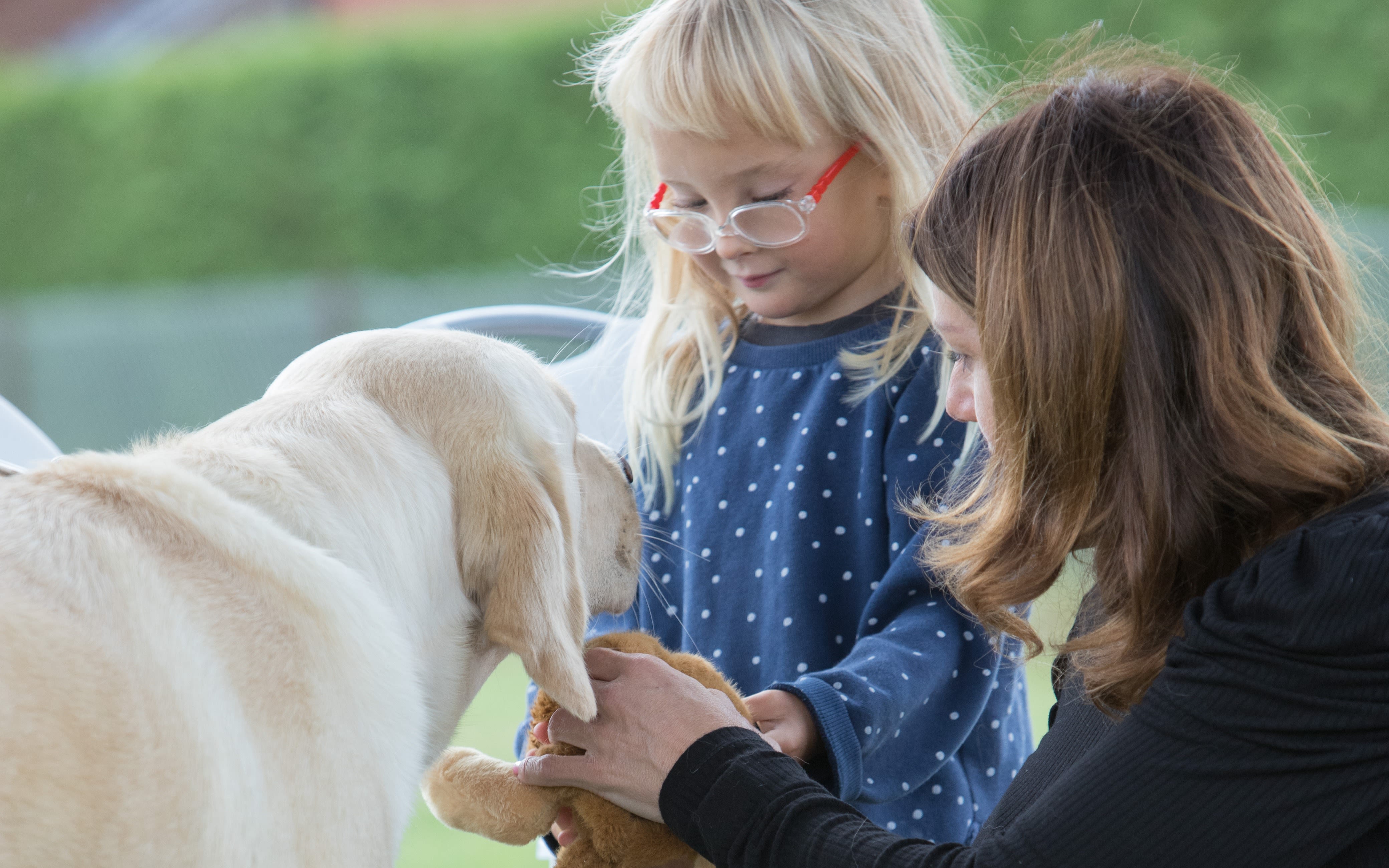 Image of a lady and a young girl petting a guide dog.