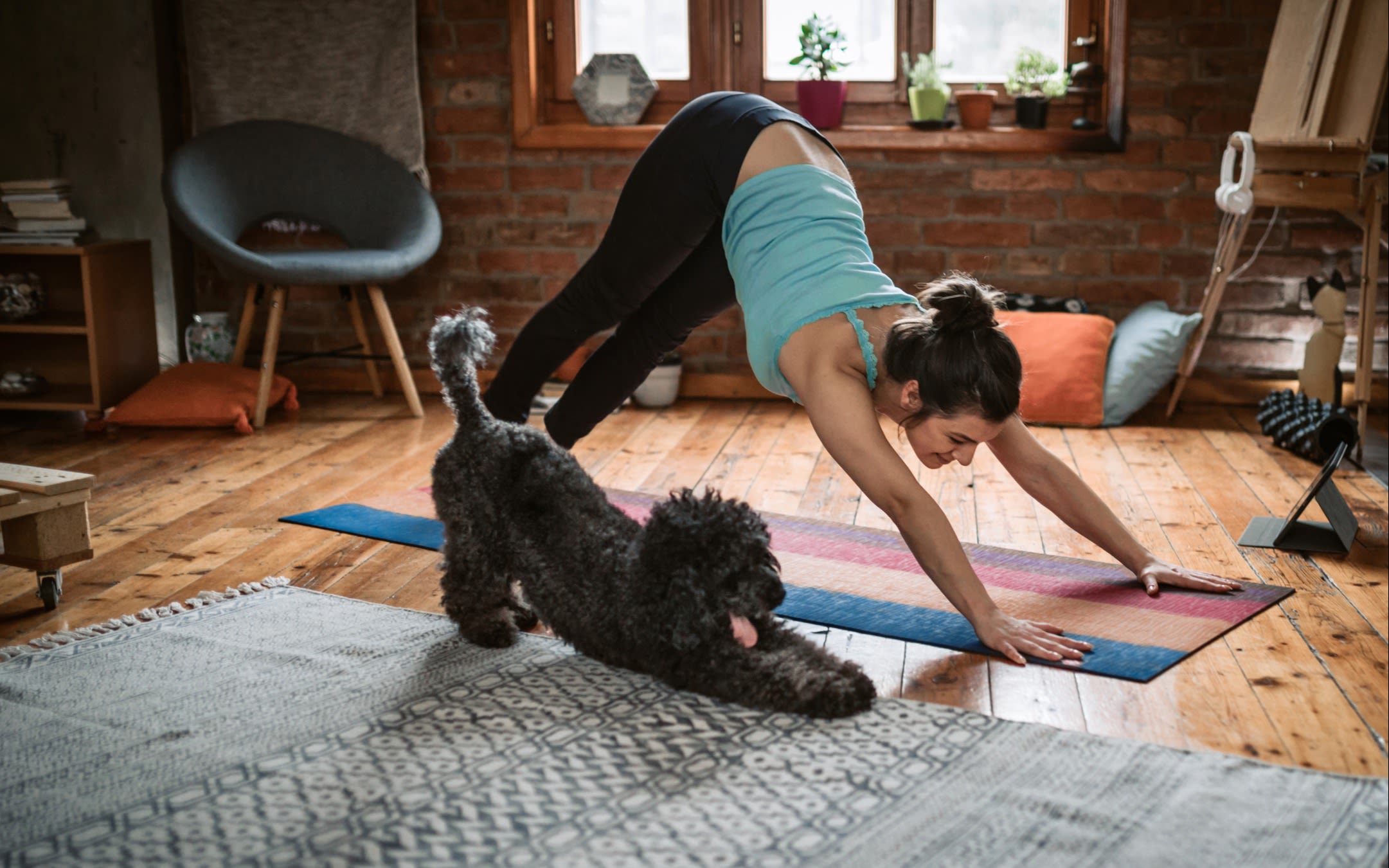 A woman practising yoga at home with her dog