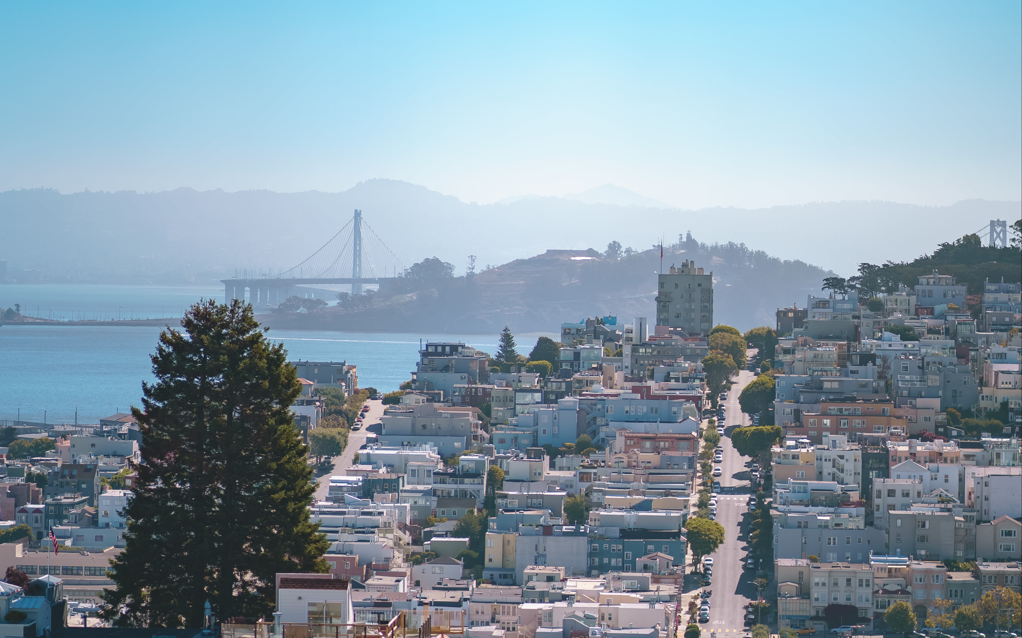 San Francisco's skyline