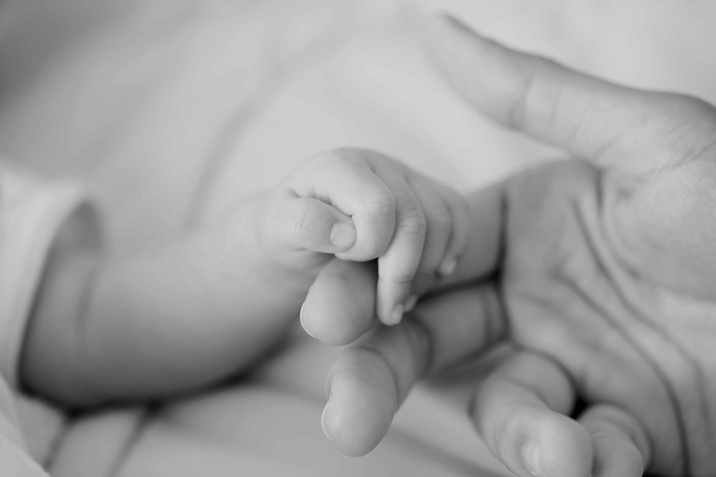 A close up of a baby's hand holding onto an adult's finger