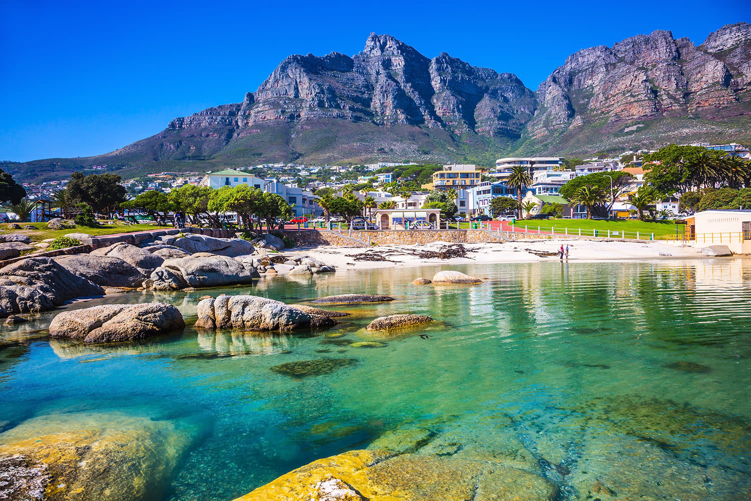 Visit Cape Town City Centre: 2024 Cape Town City Centre, Cape Town Travel  Guide