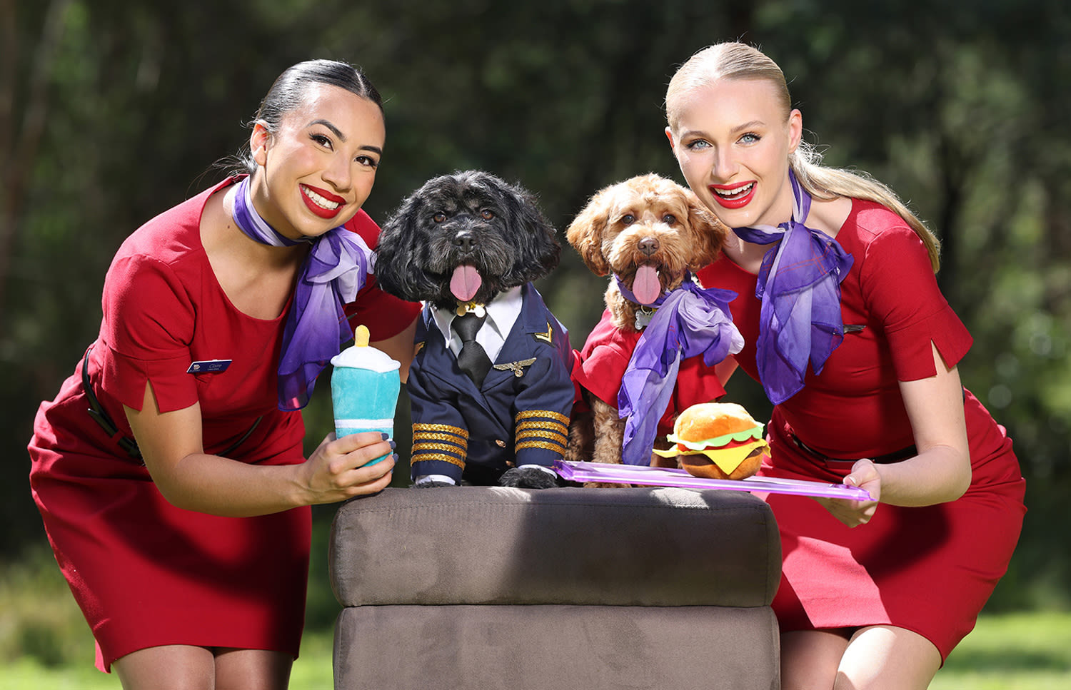 Two Virgin Australia cabin crew members pose for a photo with two dogs dressed as a Virgin Australia pilot and Virgin Australia cabin crew