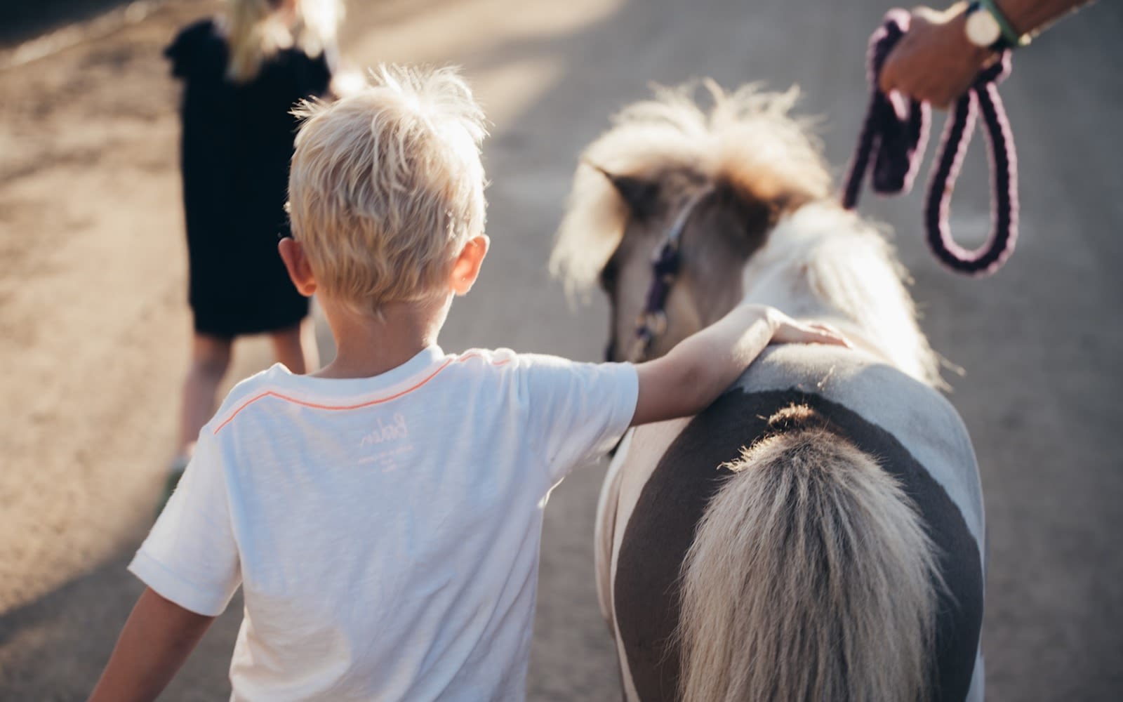 Artie Andrewes with a miniature horse on Necker Island