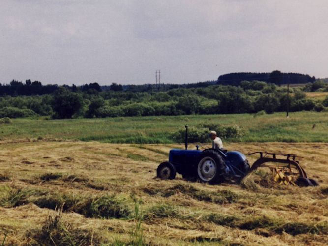 Of course there was always plenty to do other than milking. Making hay was a favorite pastime of mine (not). Here I am raking hay in a field so we could bale it. I got to spend lots of hours driving tractor.