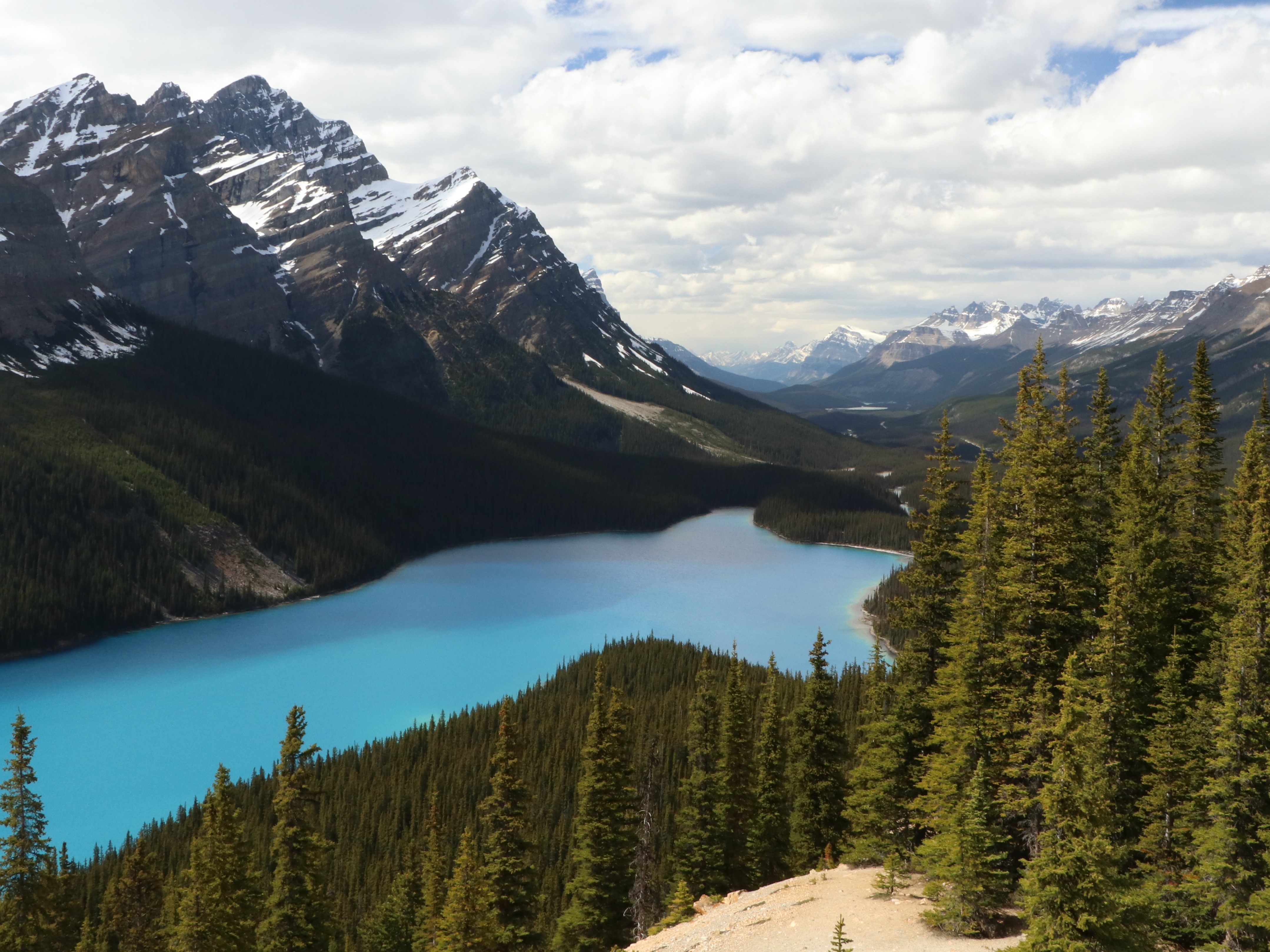 Taylor and I had an exceptional honeymoon in the beautiful Rocky Mountains. Here is our favorite picture of Peyto Lake in Banff National Park. It's so amazing how blue the glacial waters are! I might have cried at this scene.