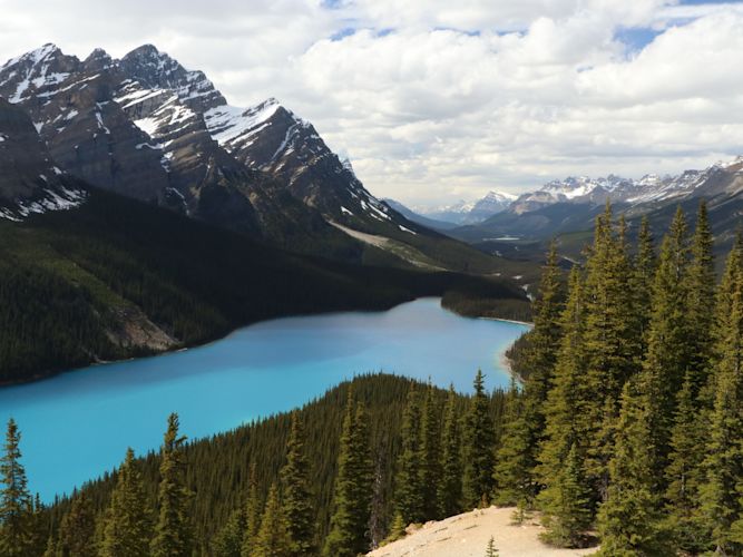 Taylor and I had an exceptional honeymoon in the beautiful Rocky Mountains. Here is our favorite picture of Peyto Lake in Banff National Park. It's so amazing how blue the glacial waters are! I might have cried at this scene.
