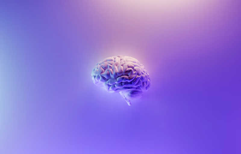 Illustration in blues, purples and pink of a brain
