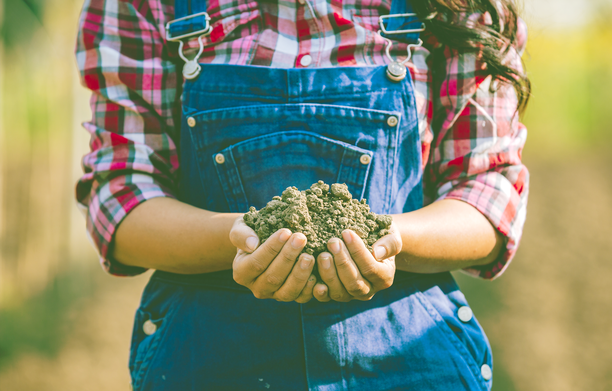 FreePik Biodiversity 2000x1280px