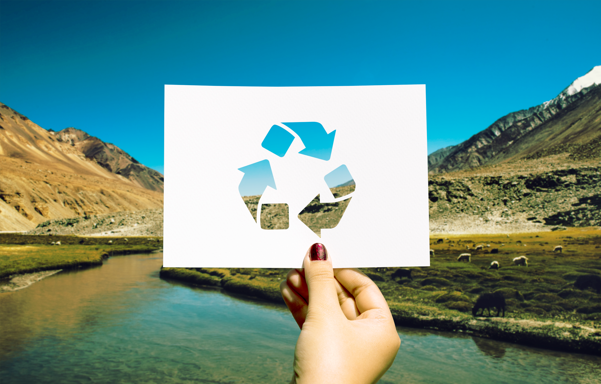 FreePik Waste 2000x1280px