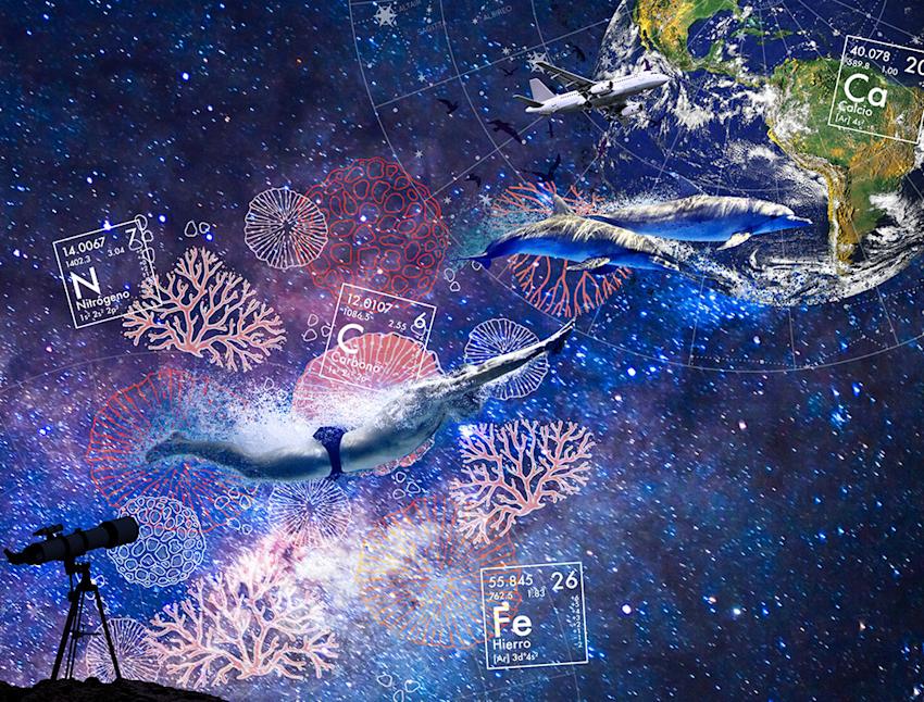 Imagen cabecera Estamos interconectados: somos partículas estelares