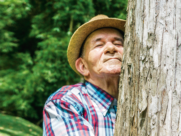 Don Alfonso, la cita de cada domingo