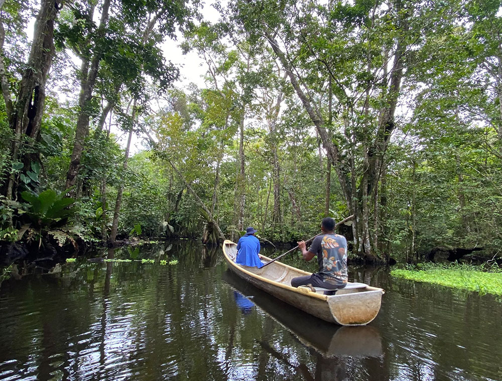 Un valor ecológico inmenso