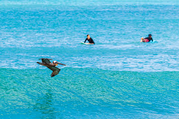 Surf port Louis 