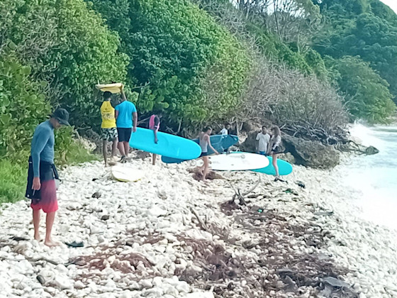 Surf découverte 