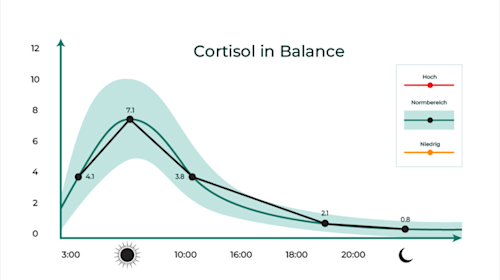 Cortisol Und Stress Was Ist Der Zusammenhang