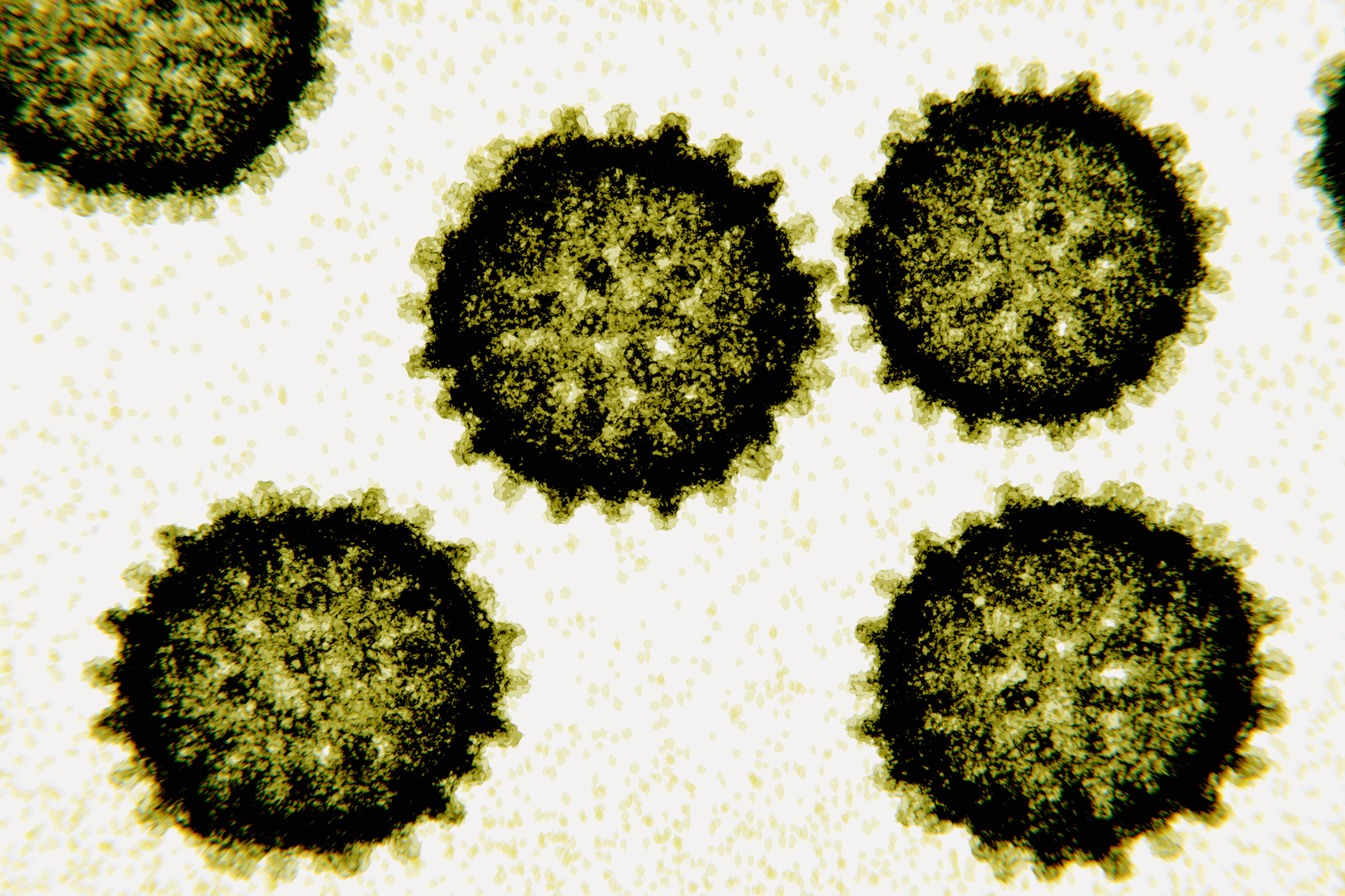 Quiz Yourself Hepatitis C Virus Screening and Treatment in People With HIV