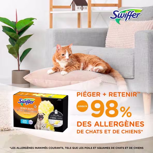 Un chat orange détendu est assis sur un coussin à côté d'un produit Swiffer Pet, pour la réduction des allergènes pour les propriétaires d'animaux