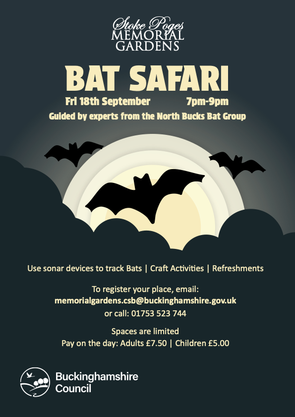 bat safari