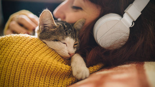 Kitten sleeping on young womans shoulder