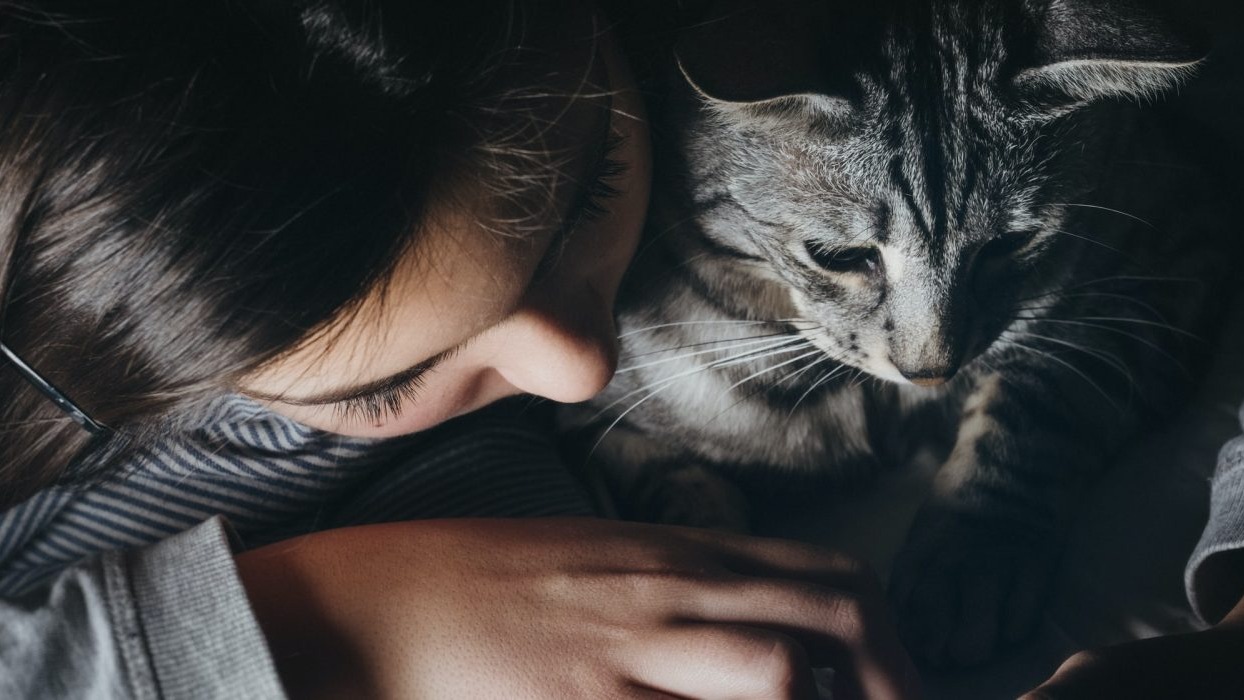Person hugging cat