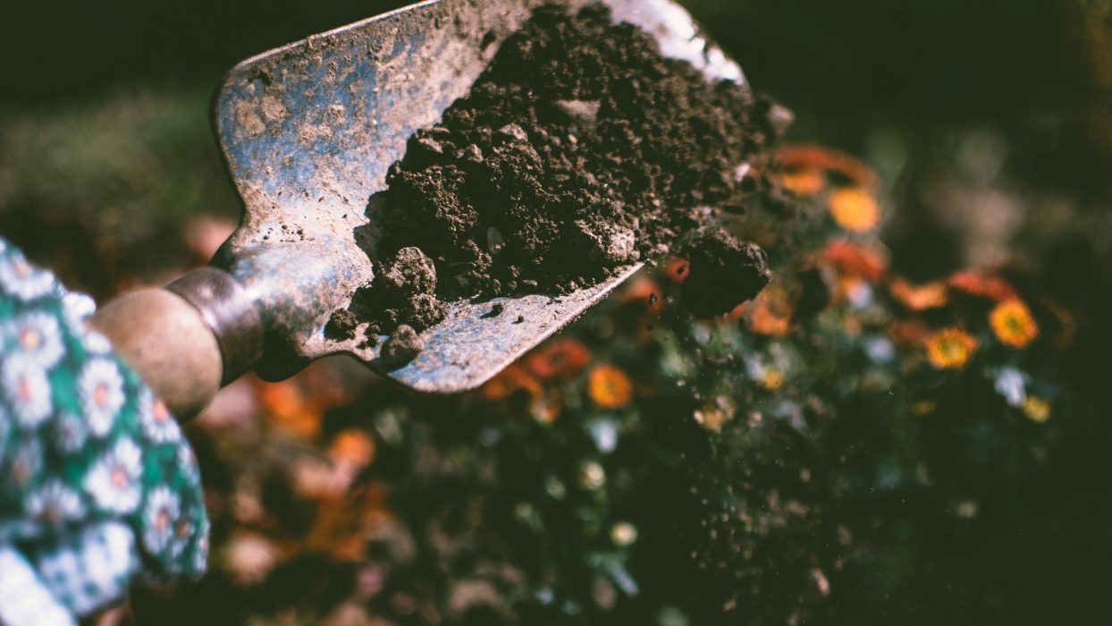 Person moving soil with a spade