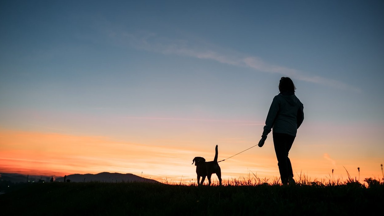 Person walking a dog at dusk