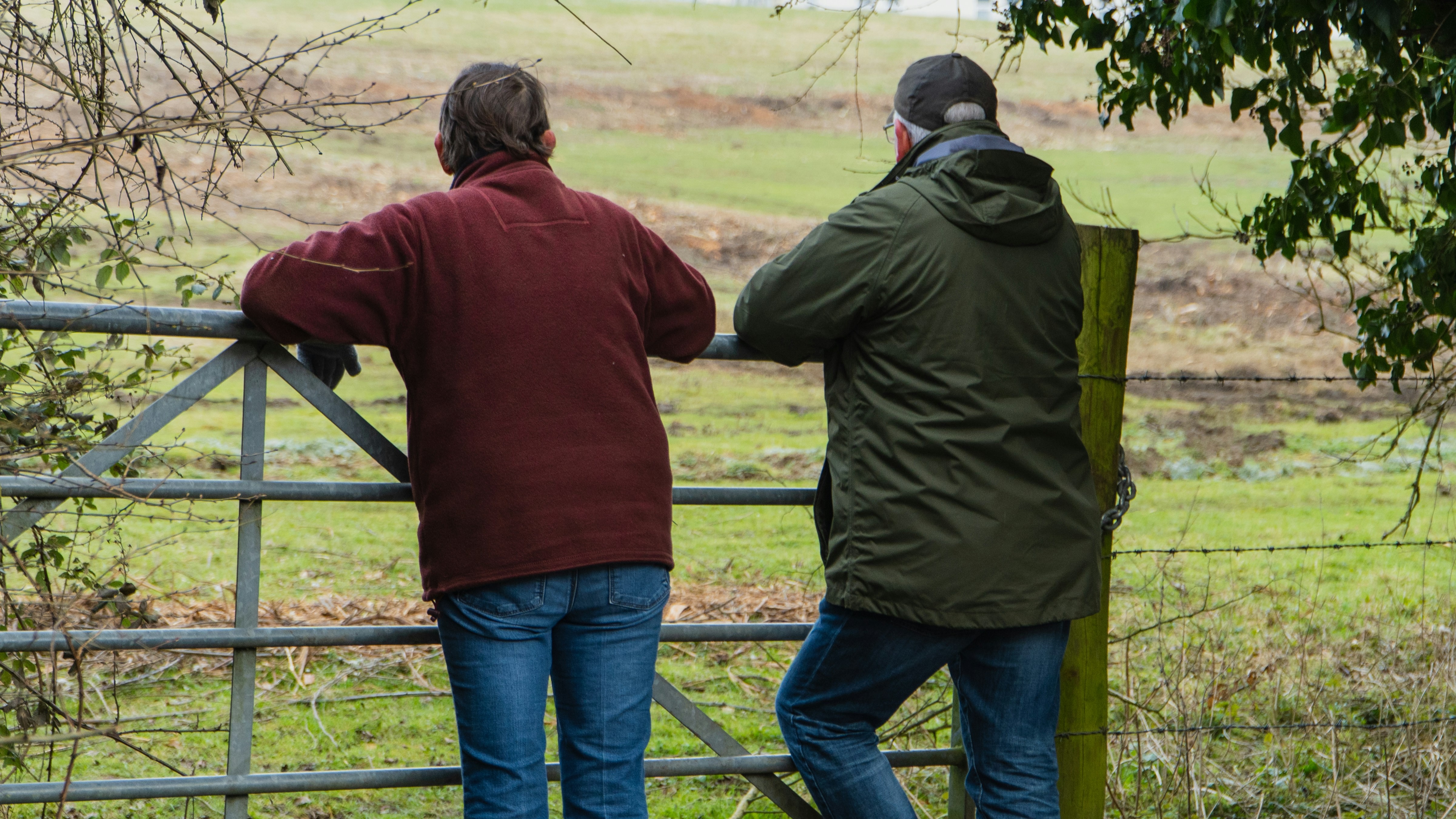Two people looking into a field