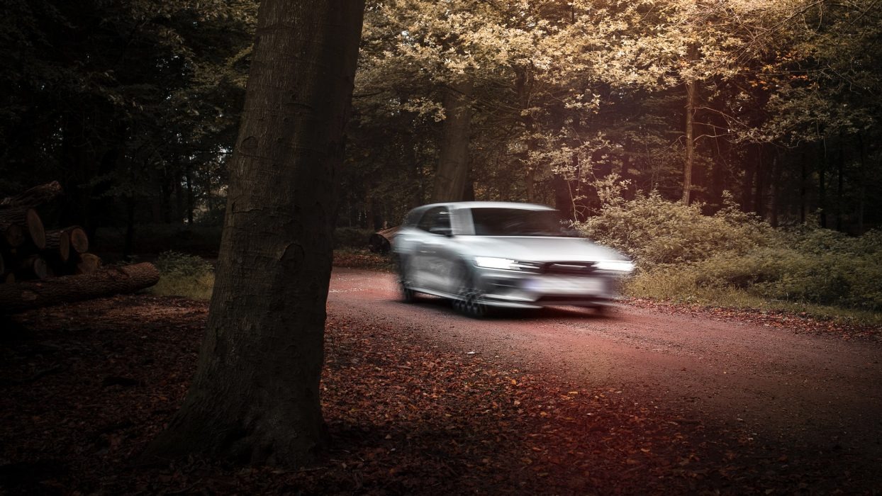 Car driving through a forest