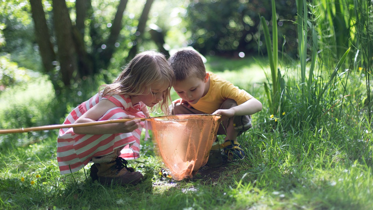 Children looking into a fishing net