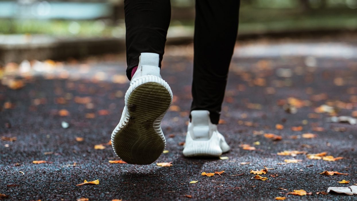 Person walking down a path
