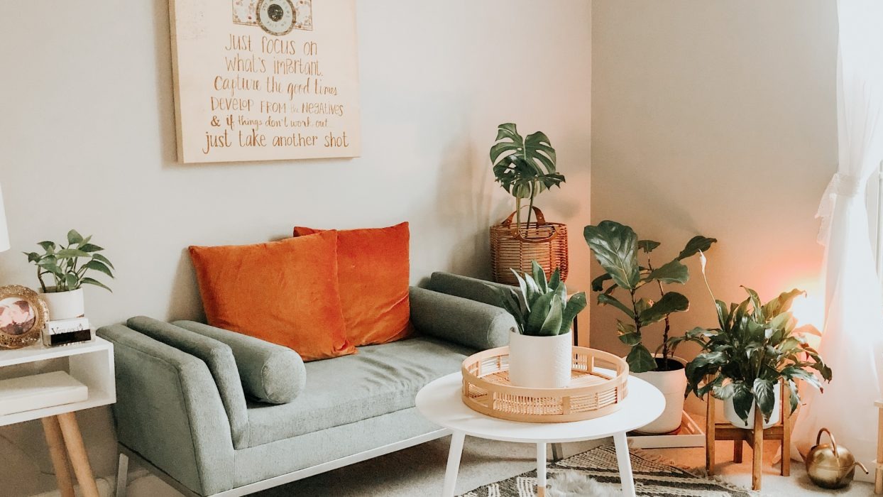 Living room with sofa, books and indoor plants