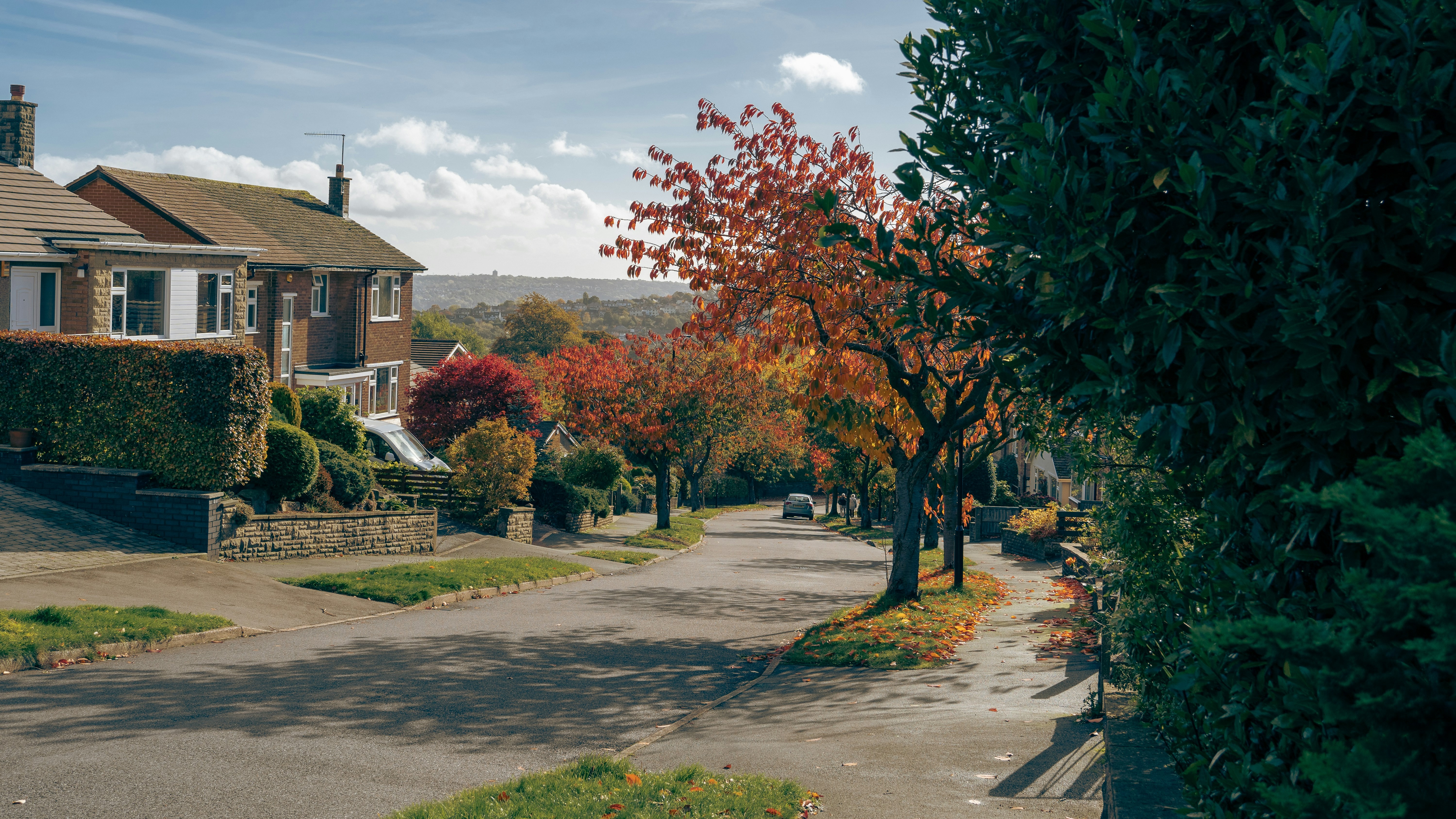 A residential street in the autumn