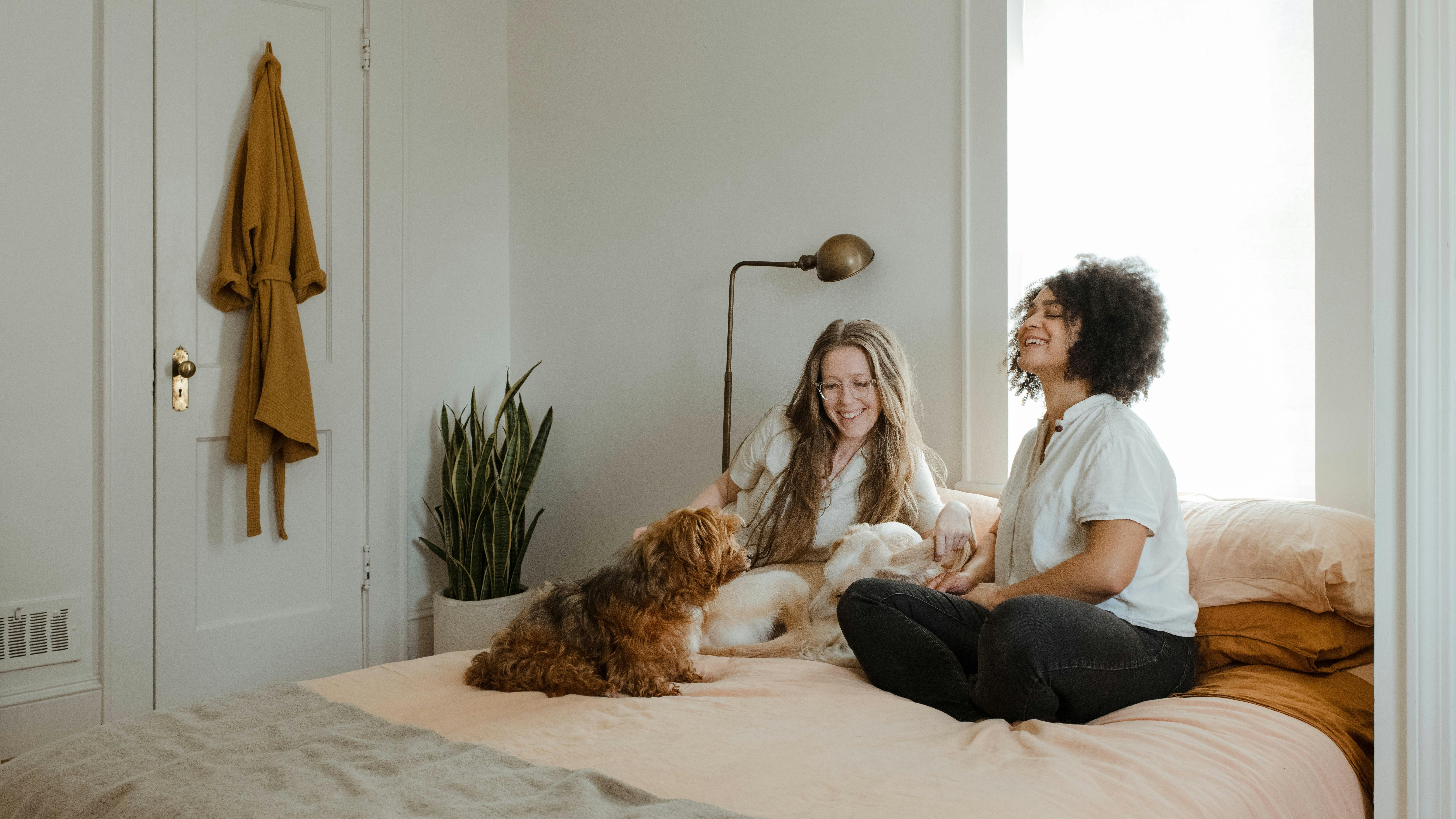 Two people sat on a bed with a dog