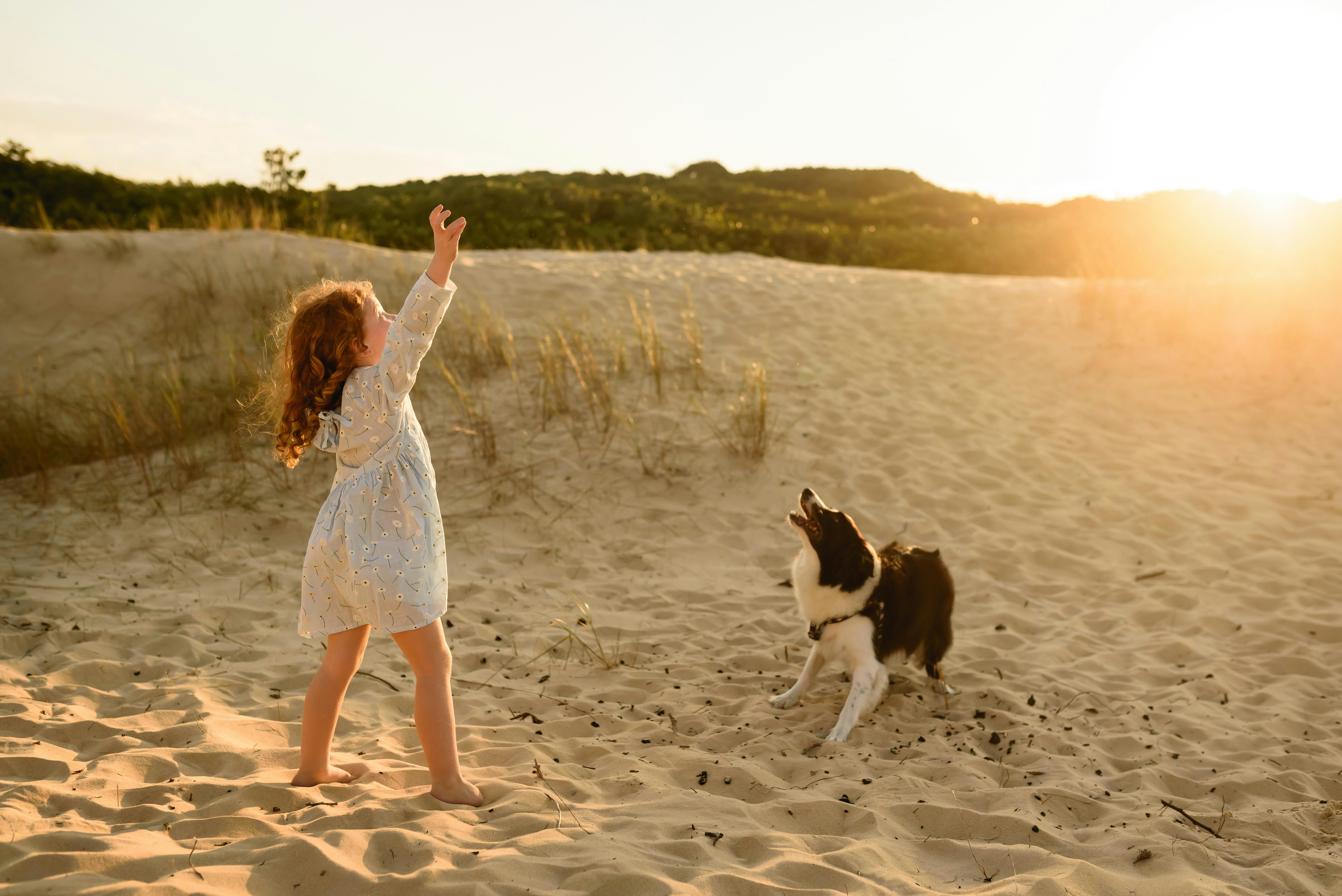 child playing with dog on beach