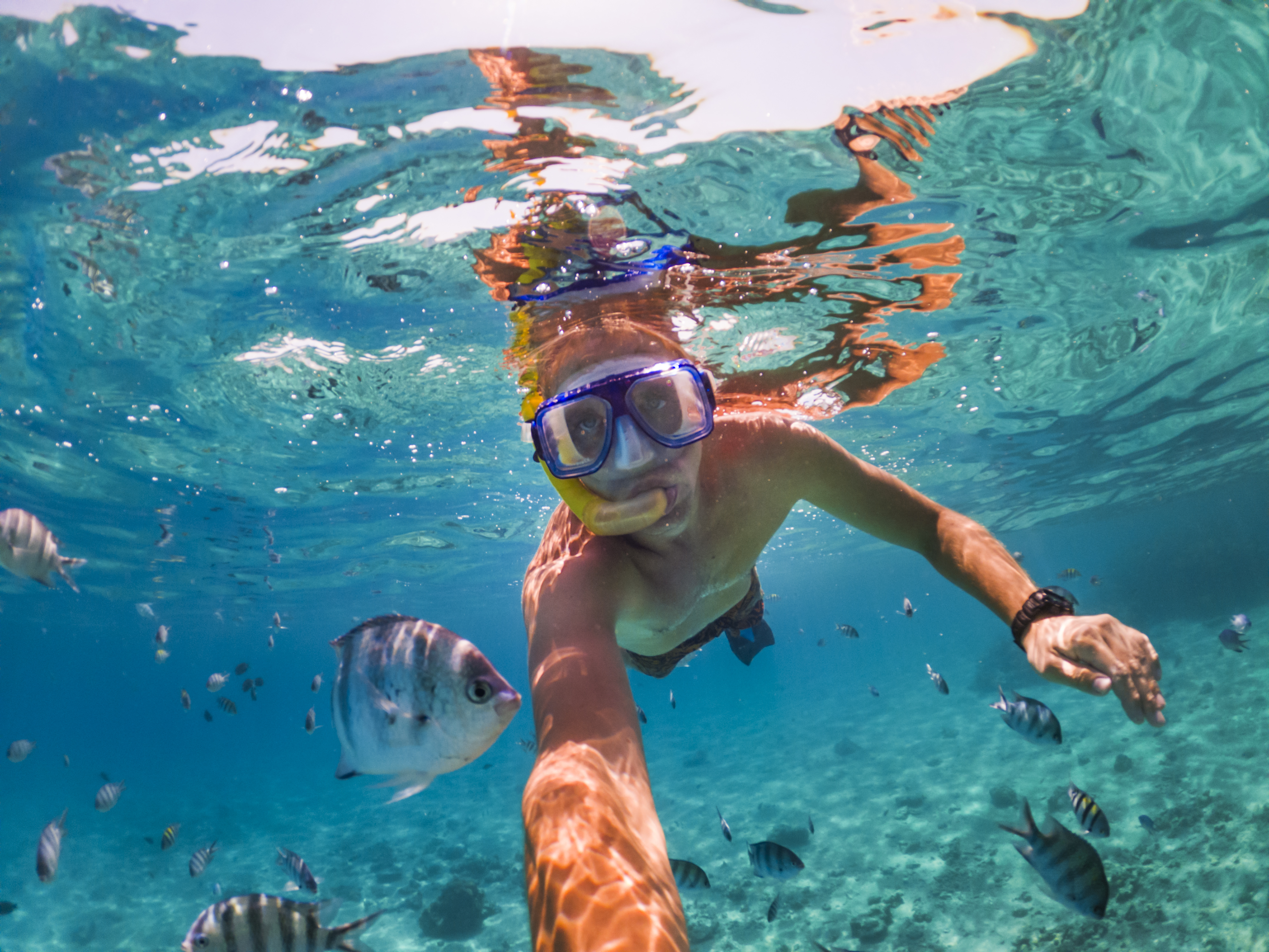 Person snorkelling in the sea whilst on holiday. 